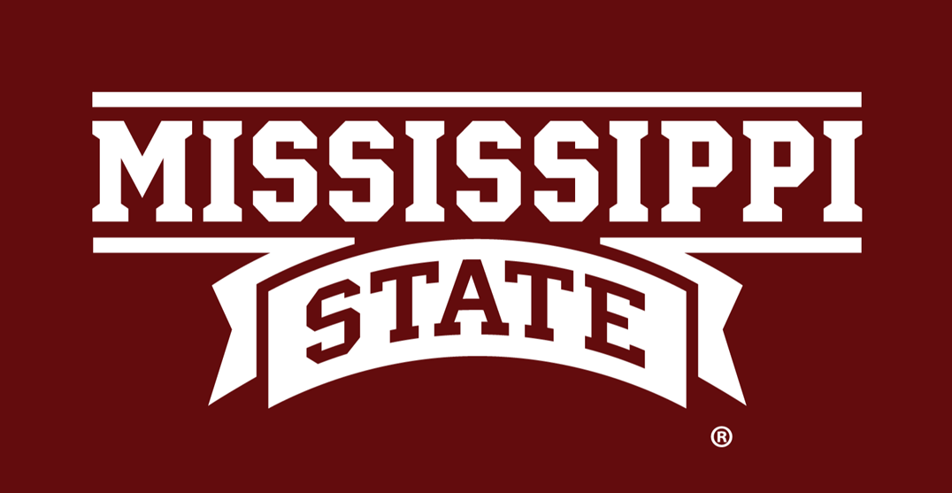 Mississippi State Bulldogs 2009-Pres Wordmark Logo 02 iron on paper